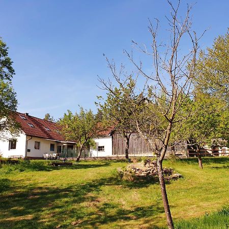 Die Alm In Schoellbuechl, Privatzimmer Sankt Martin  Esterno foto