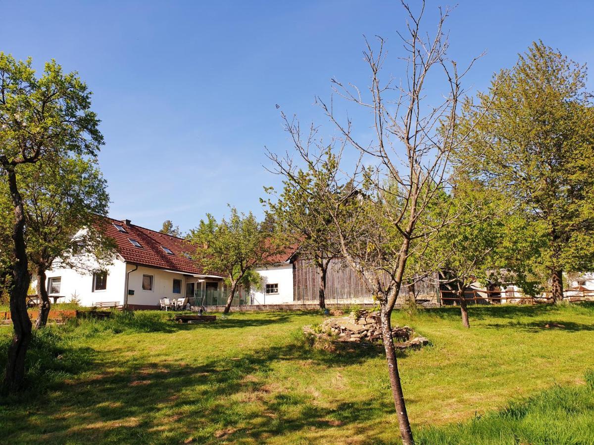 Die Alm In Schoellbuechl, Privatzimmer Sankt Martin  Esterno foto