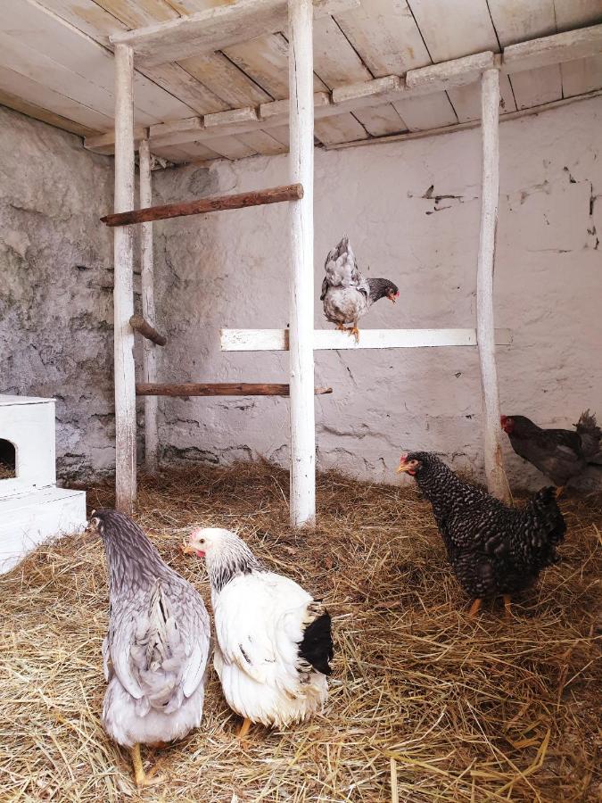 Die Alm In Schoellbuechl, Privatzimmer Sankt Martin  Esterno foto